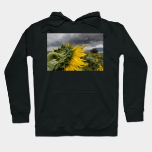 The Sunflower Hoodie